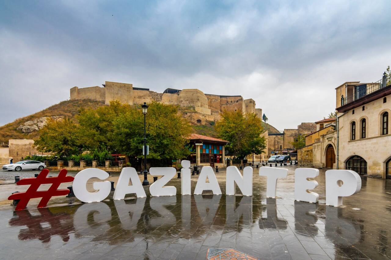 DEVA Partisi Gaziantep Milletvekili Ertuğrul Kaya, Türkiye Büyük Millet Meclisi