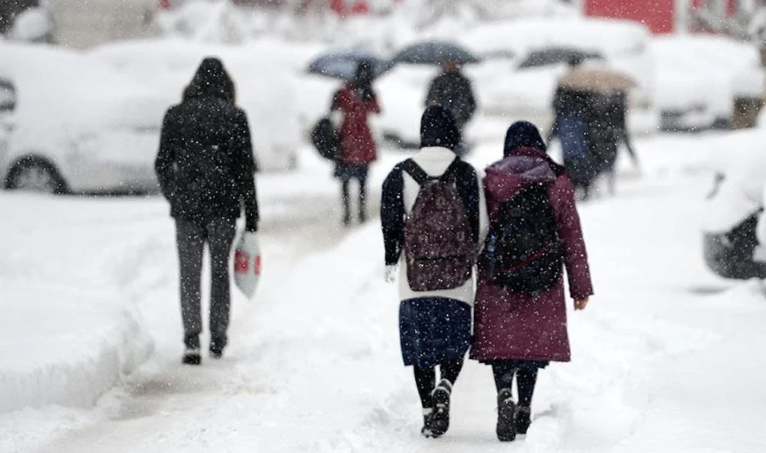 Türkiye'nin çeşitli illerinde etkili olan yoğun kar yağışı nedeniyle bazı