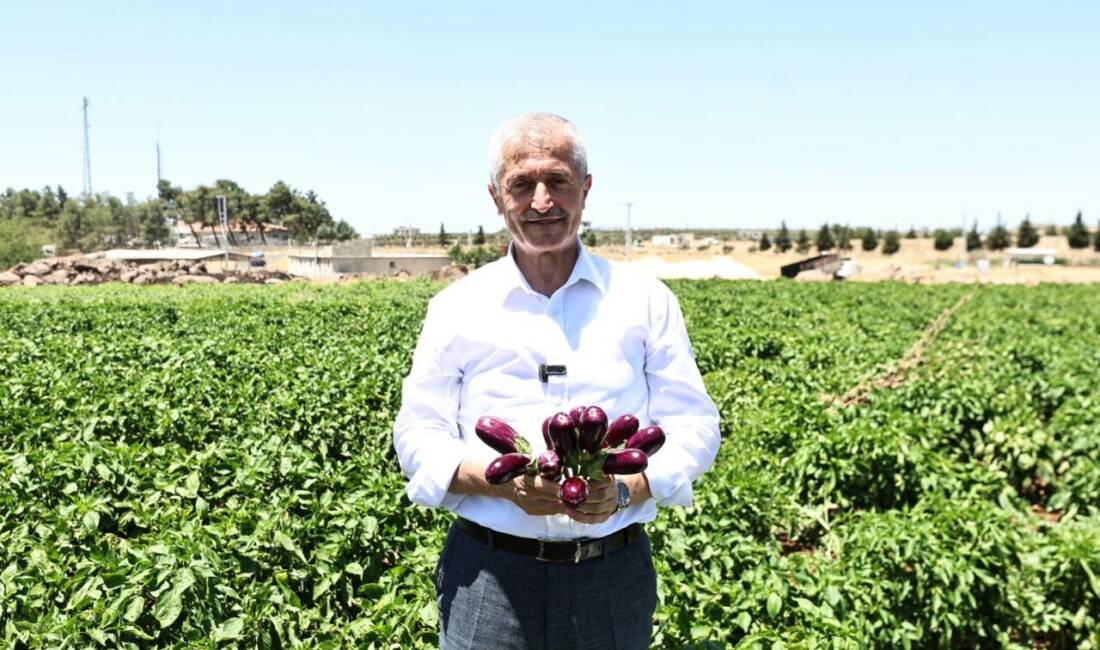 Gaziantep’in Şahinbey ilçesinde tarımsal üretimi desteklemek amacıyla çiftçilere 48 milyon