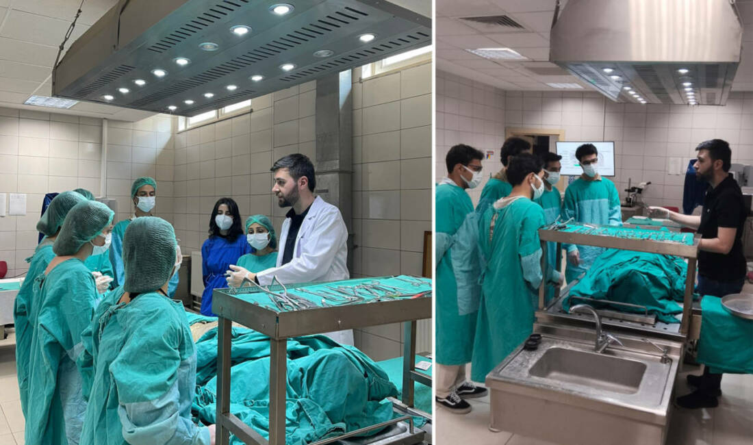 Gaziantep Üniversitesi (GAÜN) Tıp Fakültesi Anatomi Anabilim Dalı’nda üç yıldır