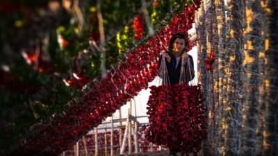 Yaz aylarının gelmesiyle birlikte Gaziantep’te geleneksel bir manzara yeniden hayat